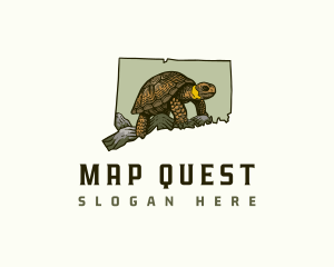 Connecticut Bog Turtle logo design