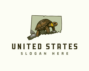 Connecticut Bog Turtle logo design