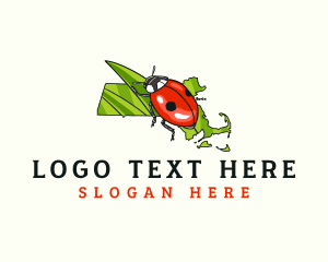 Map - Massachusetts Ladybug Insect logo design