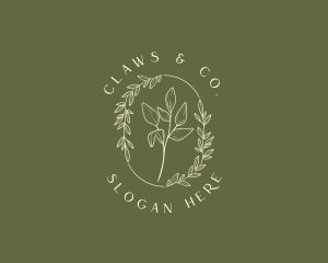 Botanical Leaf Foliage Logo