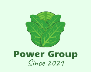 Gardening - Green Leafy Cabbage logo design