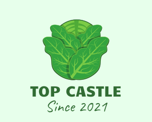 Farm - Green Leafy Cabbage logo design