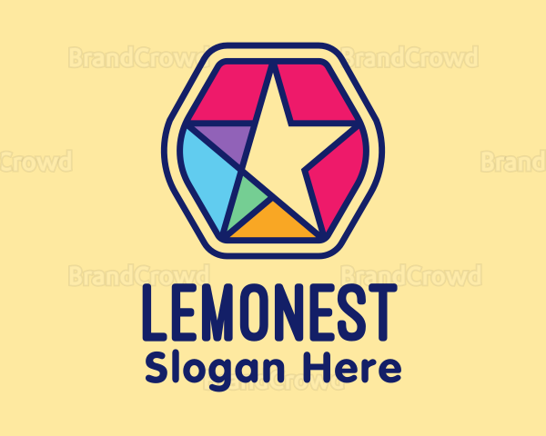 Colorful Generic Star Logo