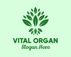 Organic Green Leaves logo design