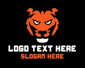 College - Tiger Safari Wildlife logo design