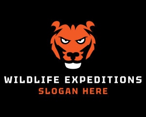 Safari - Tiger Safari Wildlife logo design