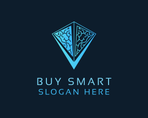 Blue Pyramid Brain logo design