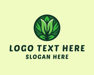 Herbal Leaf Pattern  Logo