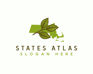 Massachusetts Leaf Plant logo design