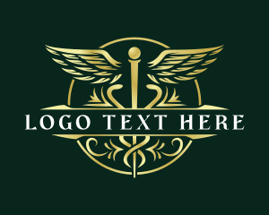 Caduceus Wings Health Logo