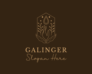 Elegant Ornamental Gemstone Logo