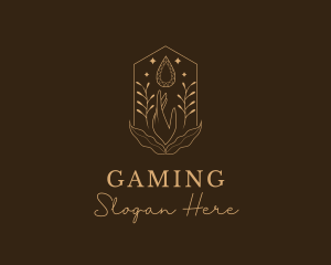 Elegant Ornamental Gemstone Logo