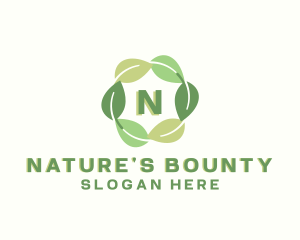 Eco Nature Leaf logo design