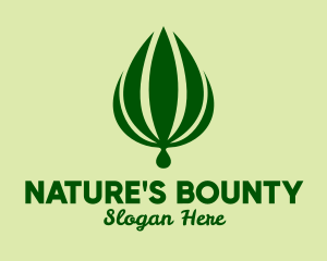 Natural Palm Plant  logo design