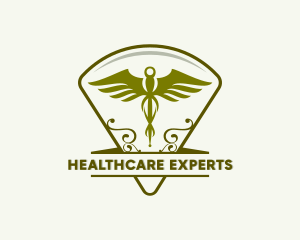 Medical Caduceus Healthcare logo design