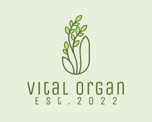 Organic Wellness Plant  logo design