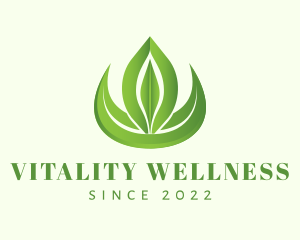 Leaf Nature Wellness Spa logo design