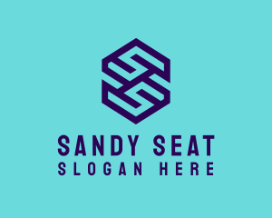 Generic Hexagon Letter SS logo design