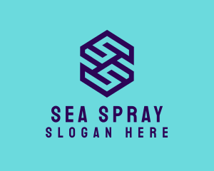 Generic Hexagon Letter SS logo design