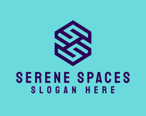 Generic Hexagon Letter SS logo design