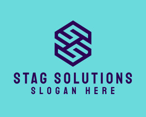 Generic Hexagon Letter SS logo design