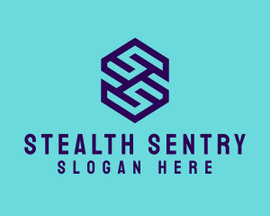 Generic Hexagon Letter SS logo design