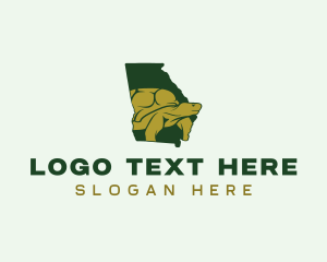 Map - Georgia Gopher Tortoise logo design