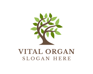 Natural Organic Tree logo design