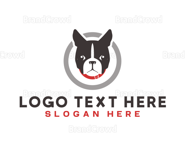 Dog Pet Veterinary Logo