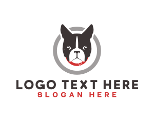 Boston Terrier - Dog Pet Veterinary logo design
