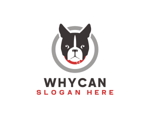 Dog Pet Veterinary Logo