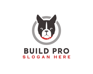 Pooch - Dog Pet Veterinary logo design