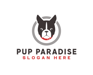 Dog Pet Veterinary logo design