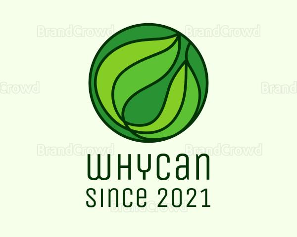 Round Green Leaf Logo