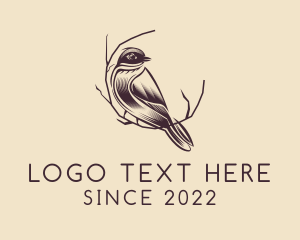 Perched - Sparrow Birdwatching Aviary logo design