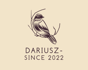 Brown - Sparrow Birdwatching Aviary logo design