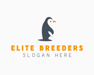 Penguin & Rabbit Animals logo design