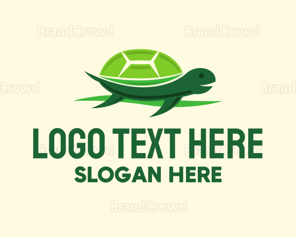 Cute Green Turtle Logo