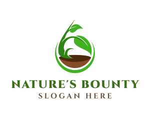 Nature Plant Environment logo design