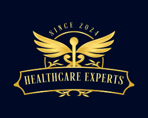 Caduceus Wings Healthcare logo design