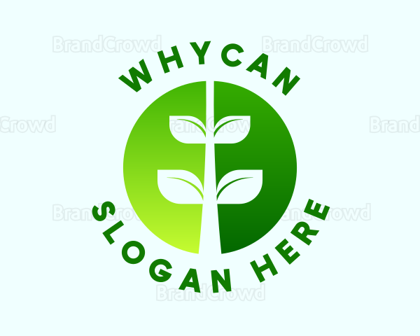 Organic Agricultural Plant Logo