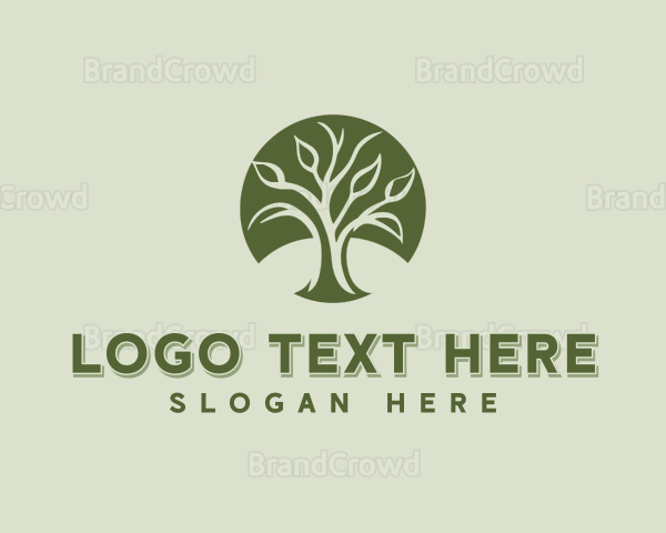 Tree Botanical Forest Logo