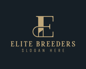 Elegant Luxury Business Letter E logo design