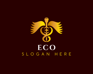Medical Caduceus Clinic Logo