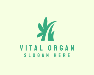 Organic Leaf Grass logo design