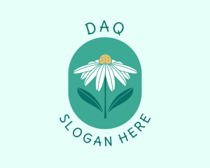 Daisy Flower Badge  Logo