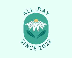 Skincare - Daisy Flower Badge logo design
