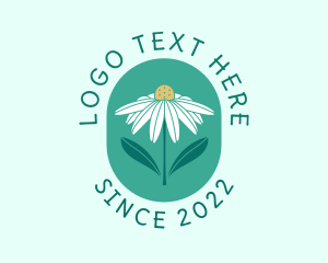 Luxury - Daisy Flower Badge logo design