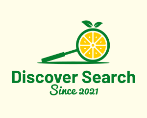 Lime Fruit Search logo design