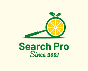 Lime Fruit Search logo design